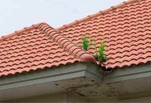 Reliable Residential Roofing Service in Silver Spring, MD Professional Residential Roofing Service in Silver Spring, MD