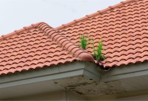 Professional Residential Roofing Service in Hayward, CA